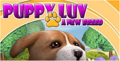 Puppy Luv: A New Breed