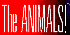 The Animals!