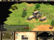 Age of Empires 2: The Age of Kings 13
