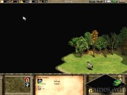 Age of Empires 2: The Age of Kings 11