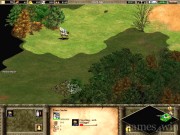 Age of Empires 2: The Age of Kings 9