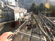 Dying Light: The Following 20
