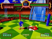 Sonic Fighters 14