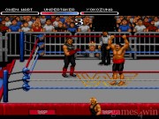 WWF RAW 8