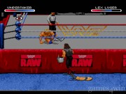 WWF RAW 2