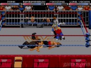 WWF RAW 16