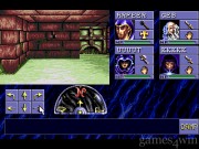 Advanced Dungeons & Dragons Eye of the Beholder 9