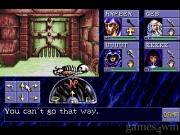 Advanced Dungeons & Dragons Eye of the Beholder 10