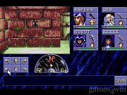 Advanced Dungeons & Dragons Eye of the Beholder 11