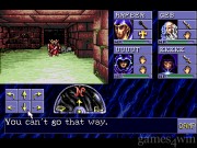 Advanced Dungeons & Dragons Eye of the Beholder 13