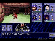 Advanced Dungeons & Dragons Eye of the Beholder 14