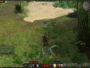 Age of Conan: Hyborian Adventures 15