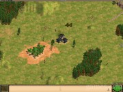 Age of Empires II: The Age of Kings 3