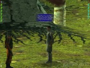 Aliens Vs Predator 2 4