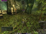 Asheron's Call 2: Fallen Kings 5