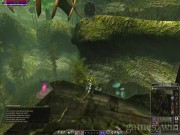 Asheron's Call 2: Fallen Kings 11