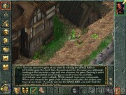 Baldur's Gate 14