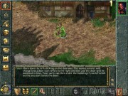 Baldur's Gate 11