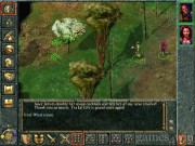 Baldur's Gate 15
