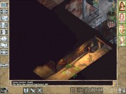 Baldur's Gate II: Shadows of Amn 7