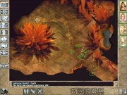 Baldur's Gate II: Shadows of Amn 5