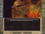 Baldur's Gate II: Shadows of Amn 4