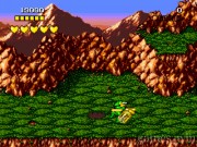 Battletoads and Double Dragon 1