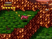 Battletoads and Double Dragon 2