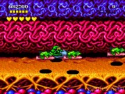 Battletoads and Double Dragon 3