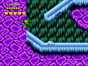 Battletoads and Double Dragon 5