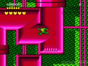 Battletoads and Double Dragon 11