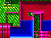 Battletoads and Double Dragon 12