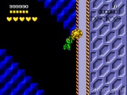 Battletoads and Double Dragon 14