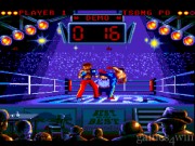 Best Of The Best Championship Karate 6