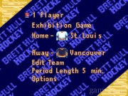 Brett Hull Hockey '95 2