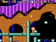 Bubble and Squeak 12