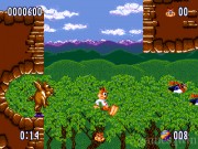 Bubsy-2 14