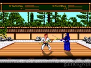 Budokan - The Martial Spirit 1