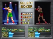 Center Ring Boxing 2