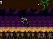 Chakan 13