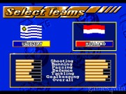 Championship Soccer '94 3