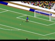 Championship Soccer '94 8