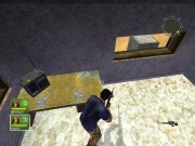 Conflict: Desert Storm 11