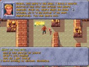 Dark Sun: Shattered Lands 4