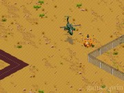 Desert Strike 14