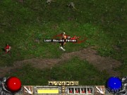 Diablo II 13