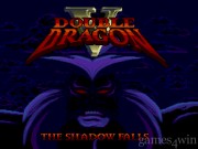 Double Dragon V: The Shadow Falls 1