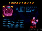 Double Dragon V: The Shadow Falls 2