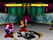 Double Dragon V: The Shadow Falls 3