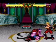 Double Dragon V: The Shadow Falls 4